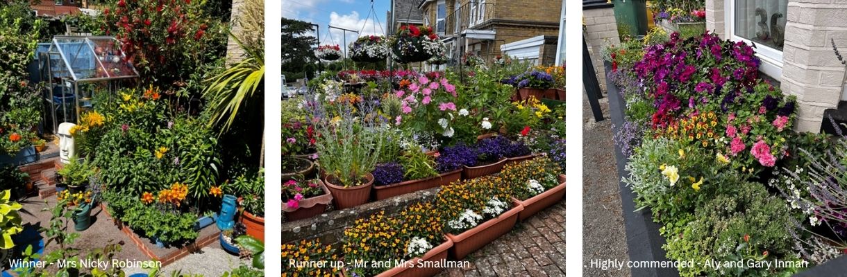 Container gardens at Cowes, Shanklin and Sandown on the Isle of Wight